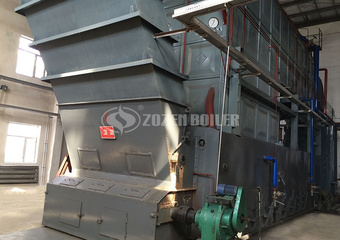 مشروع مرجل الفحم البخاري من سلسلة SZL  بقدرته ٢٠ طن في الصناعة الغذائية في اندونيسيا