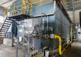  مشروع غلايات بخار تعمل بالغاز من سلسلة SZS 30 طن/ساعة في الصناعة الكيميائية