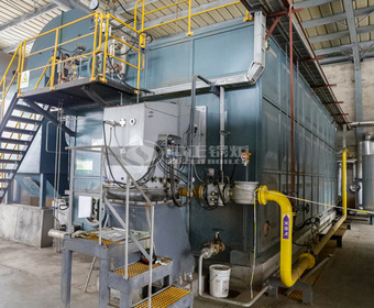  مشروع غلايات بخار تعمل بالغاز من سلسلة SZS 30 طن/ساعة في الصناعة الكيميائية