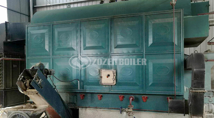 4 tph DZL biomass-fired fire tube boiler project for food industry