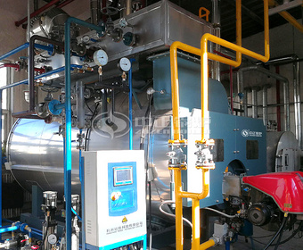 مشروع المراجل البخارية بالغاز 1.5 طن من سلسلة WNS في صناعة منتجات الزجاج