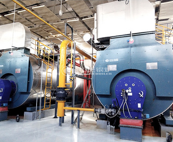 مشروع مراجل البخار بالغاز 10 طن من سلسلة WNS في عصير شانشي هوييوان