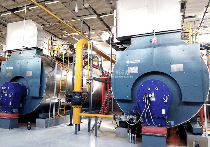 مشروع مراجل البخار بالغاز 10 طن من سلسلة WNS في عصير شانشي هوييوان